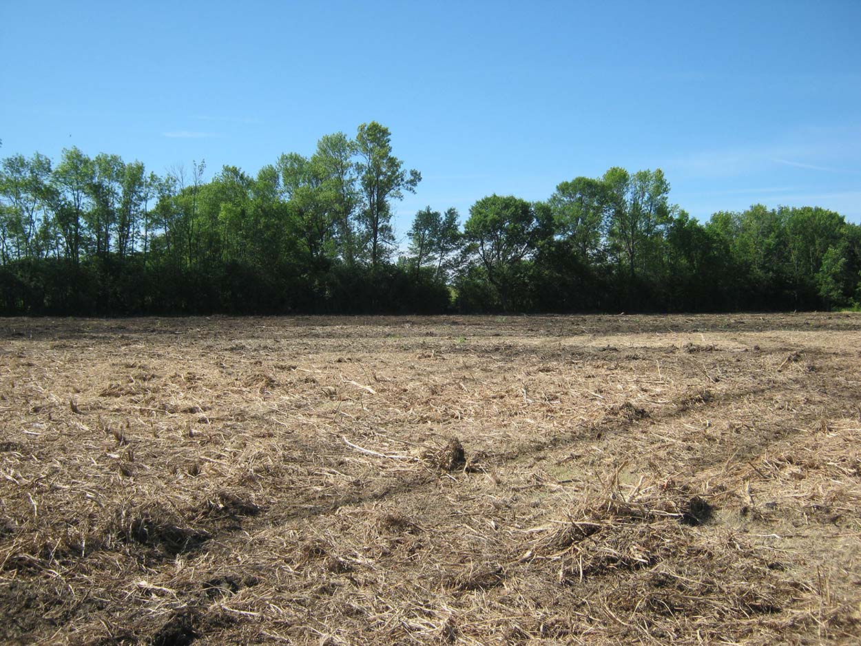 Lot Land Clearing Services